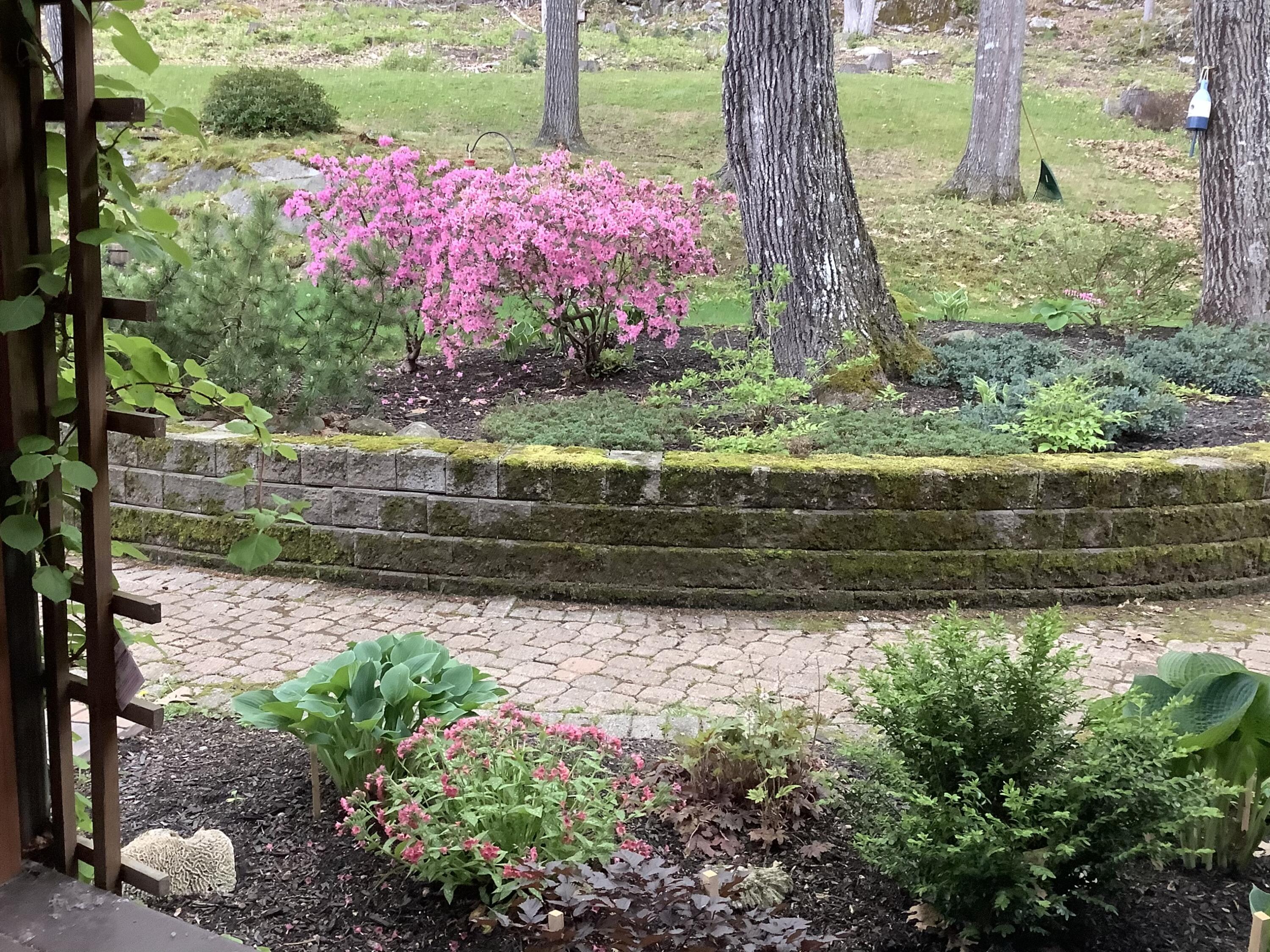 105 Cushman Point Road Wiscasset, ME 04578 - Photo 5 of 114 spring