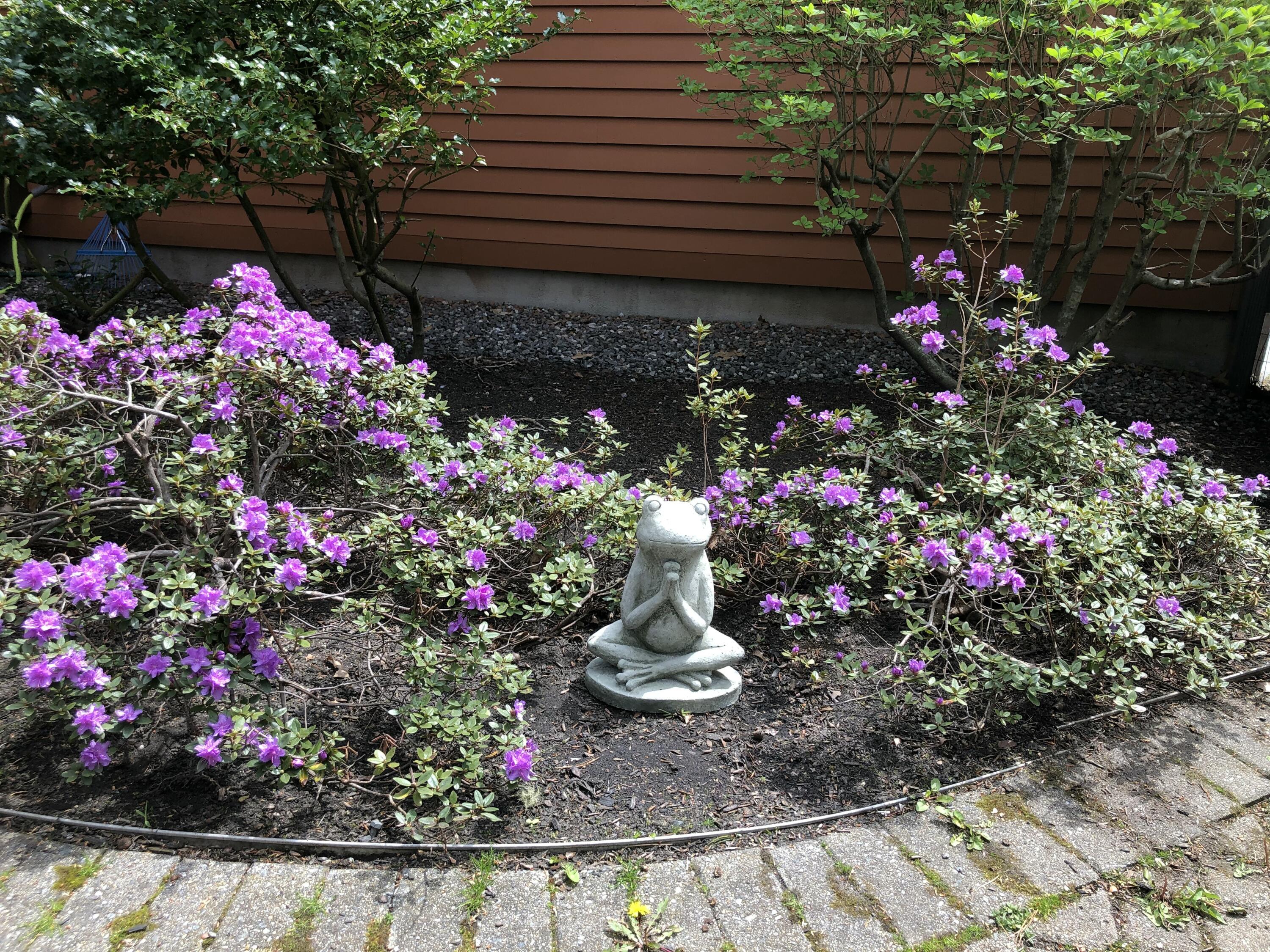 105 Cushman Point Road Wiscasset, ME 04578 - Photo 99 of 114 IMG_4052