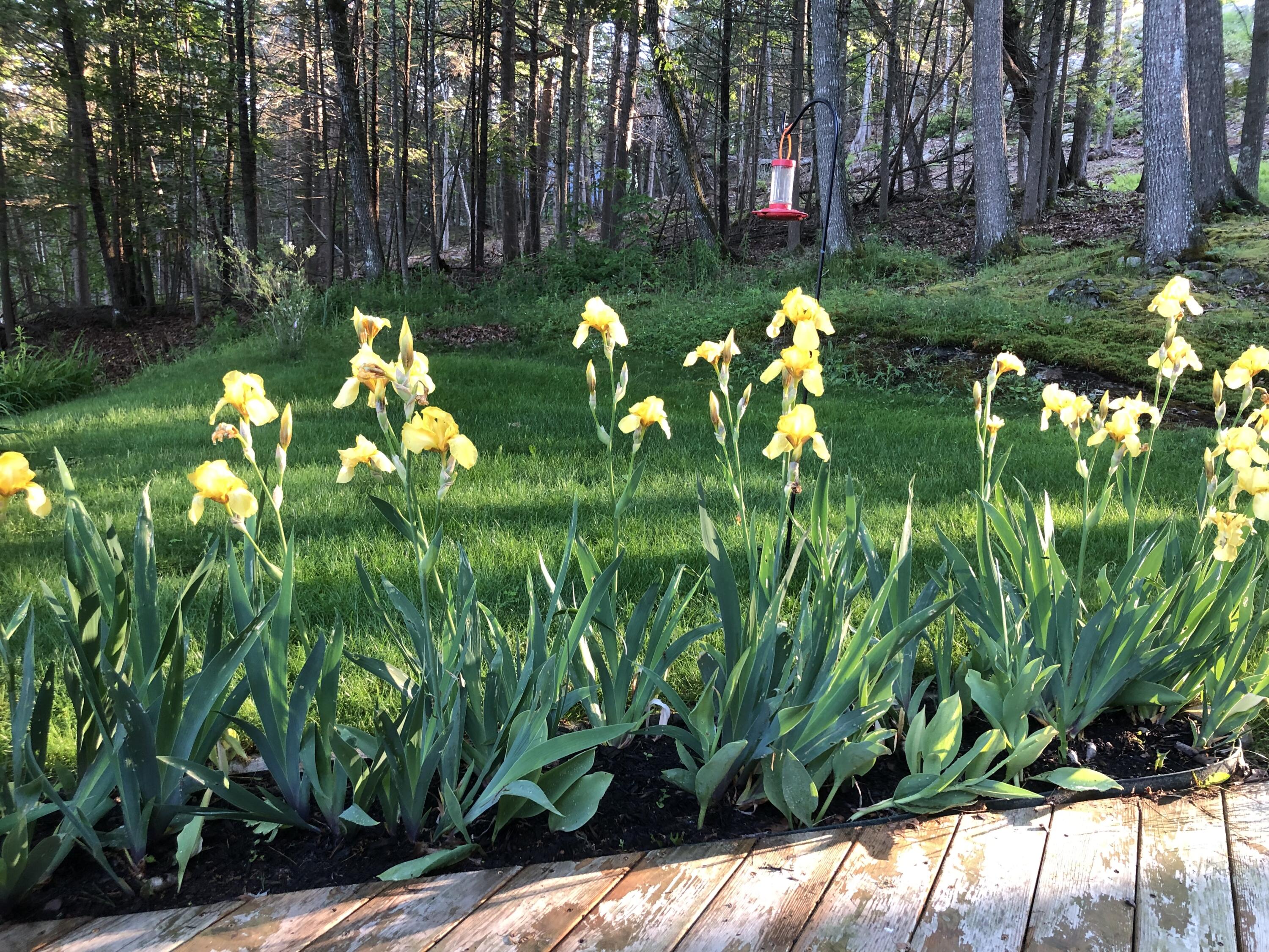 105 Cushman Point Road Wiscasset, ME 04578 - Photo 100 of 114 IMG_4073