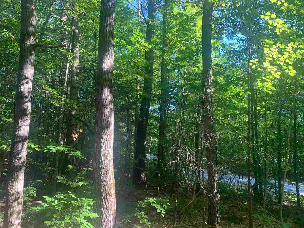 40 West Side Road, Unit 40 Conway, NH 03860 - Photo 3 of 9