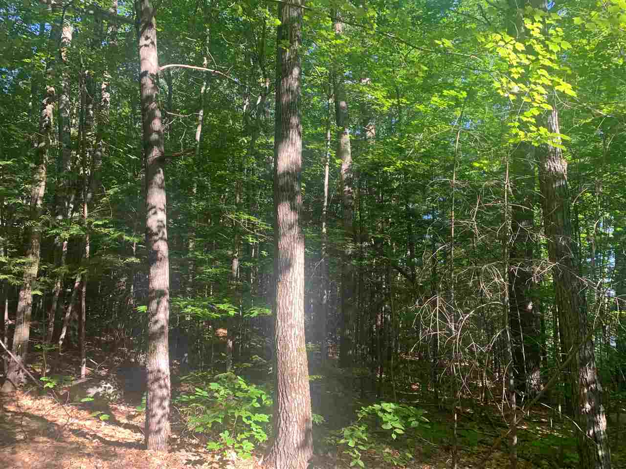 40 West Side Road, Unit 40 Conway, NH 03860 - Photo 8 of 9