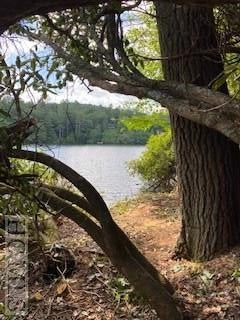 Lot 4 Arnold Road Sylva, NC 28779 - Photo 5 of 16 Gallery Image 5