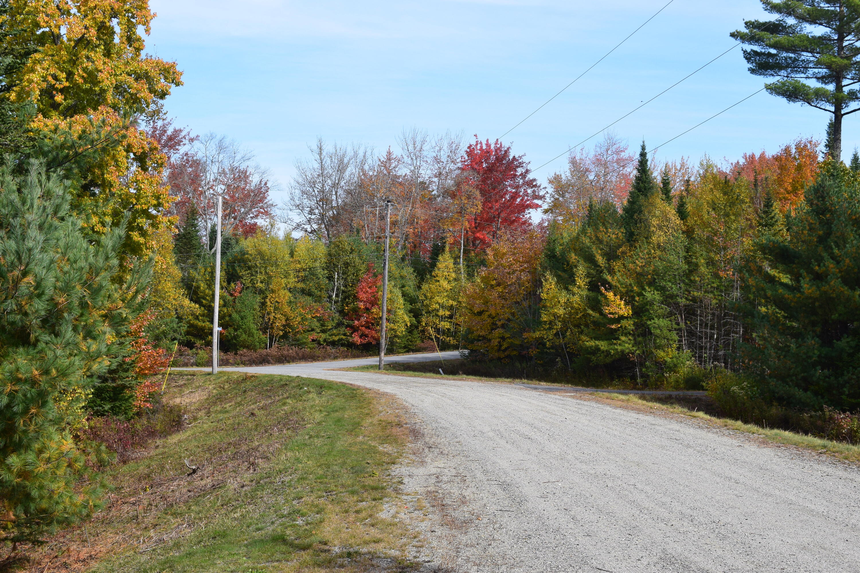 Lot 11 Surry Ridge Surry, ME 04684 - Photo 6 of 14 DSC_0531
