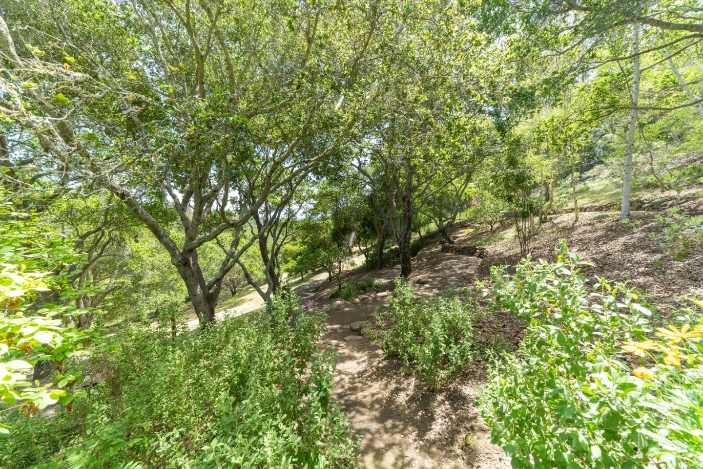 1450 Hidden Valley Road Soquel, CA 95073 - Photo 44 of 50 Gallery Image 44