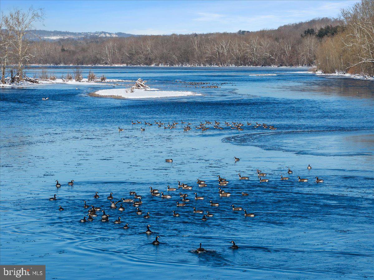 2 Cedar Lane Erwinna, PA 18920 - Photo 38 of 69
