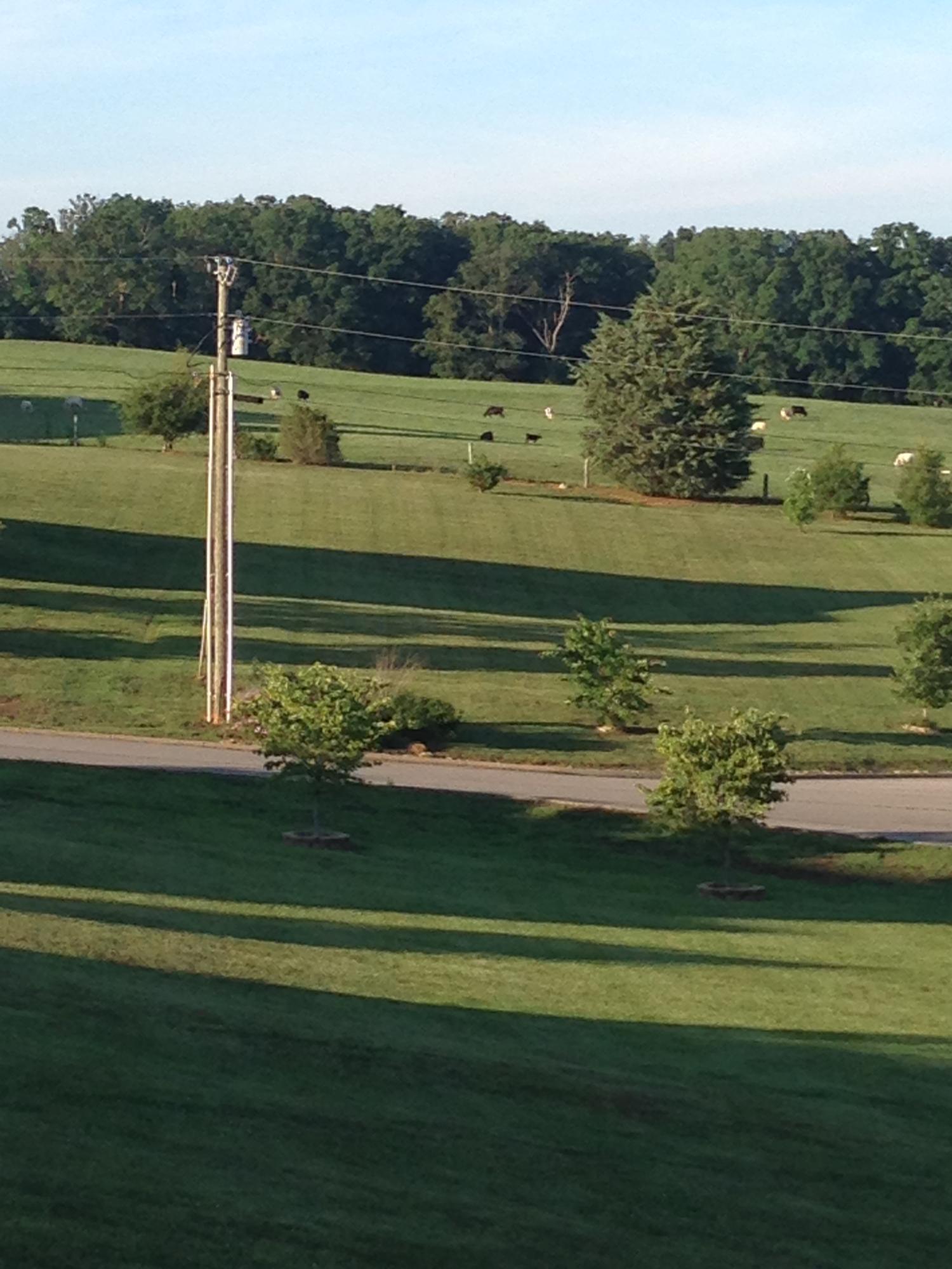 150 Timber Ridge Drive Madisonville, TN 37354 - Photo 25 of 40 IMG_4206
