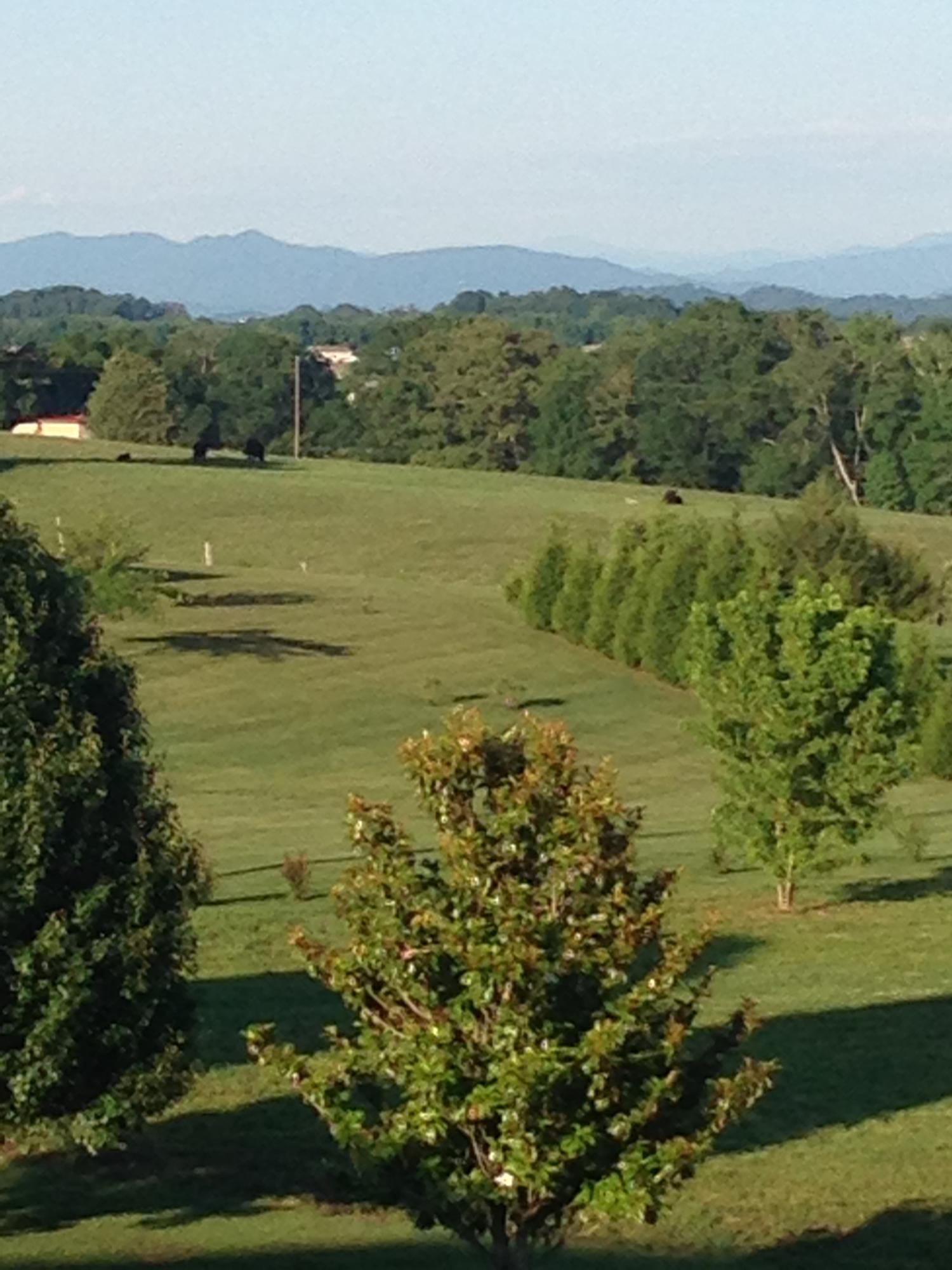 150 Timber Ridge Drive Madisonville, TN 37354 - Photo 27 of 40 IMG_4208