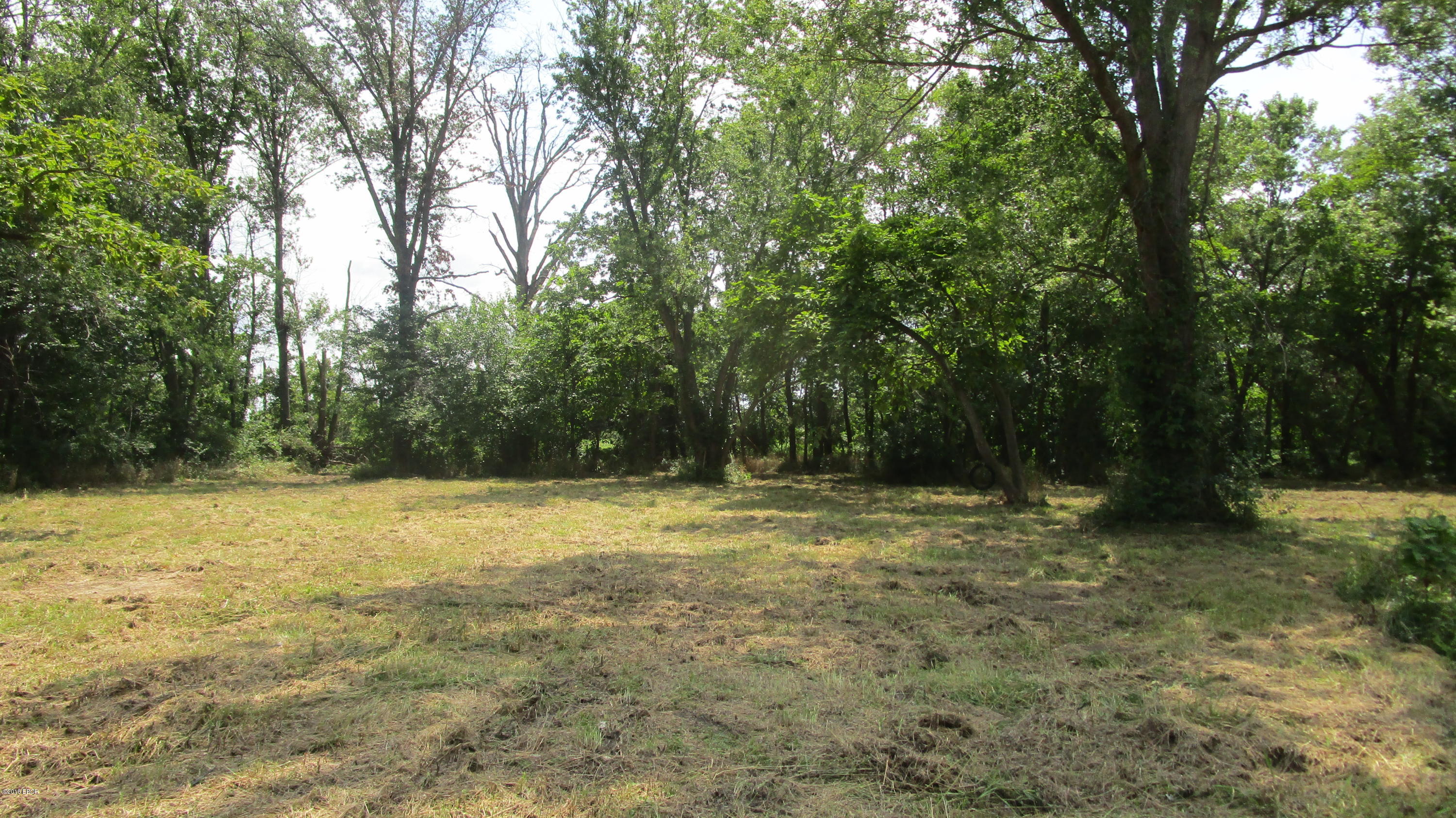 66 Red Bay Lane Flora, IL 62839 - Photo 10 of 11 Gallery Image 10