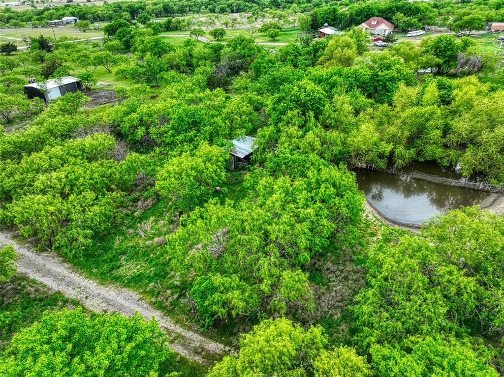 206 185th Rice, TX 75155 - Photo 11 of 23 a view of a yard with plants and tree