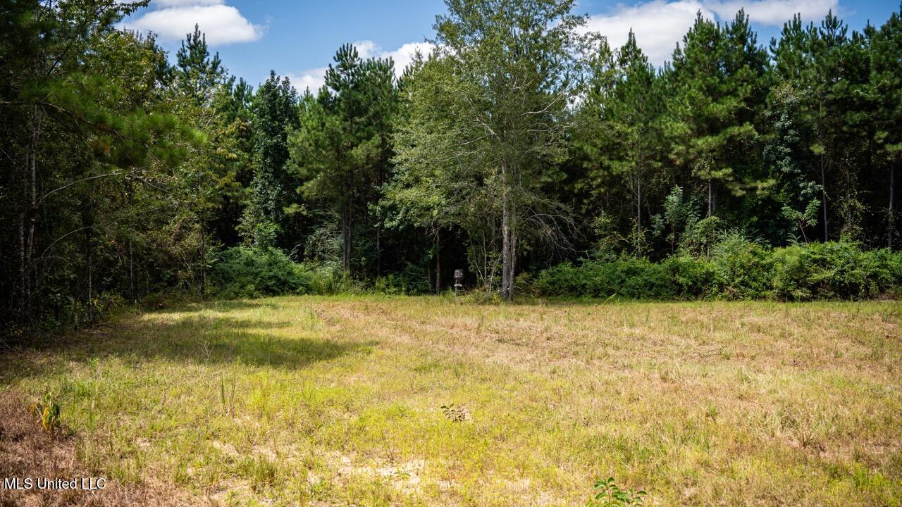 4069 Dixie Garden Road Wesson, MS 39191 - Photo 32 of 45 ZTS05935 Large