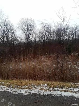 $15,000 | 0 East Maple Avenue, Flint, MI 48507