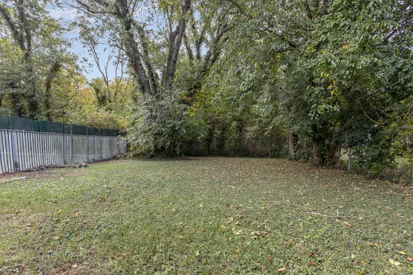 a view of backyard and tree