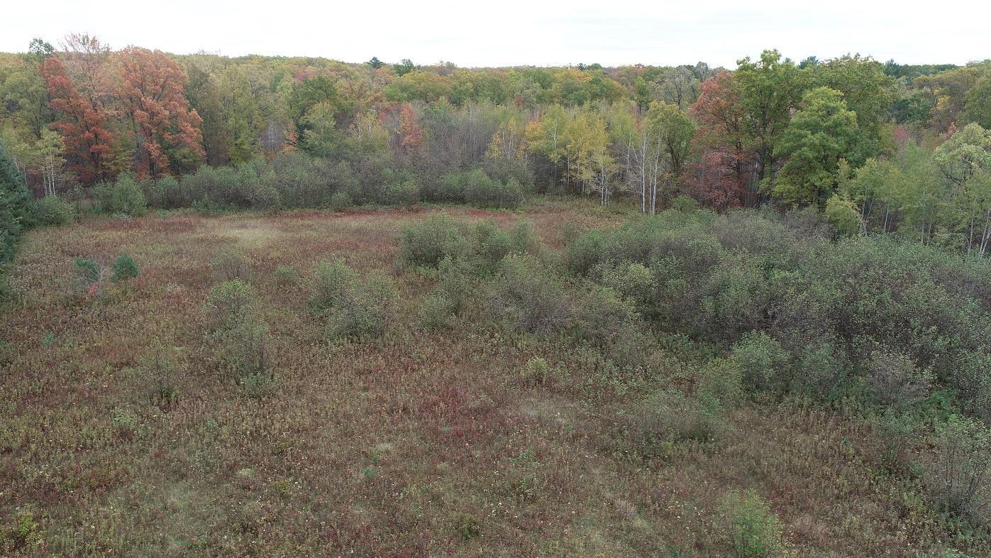 0 20th Avenue Cadott, WI 54727 - Photo 14 of 18