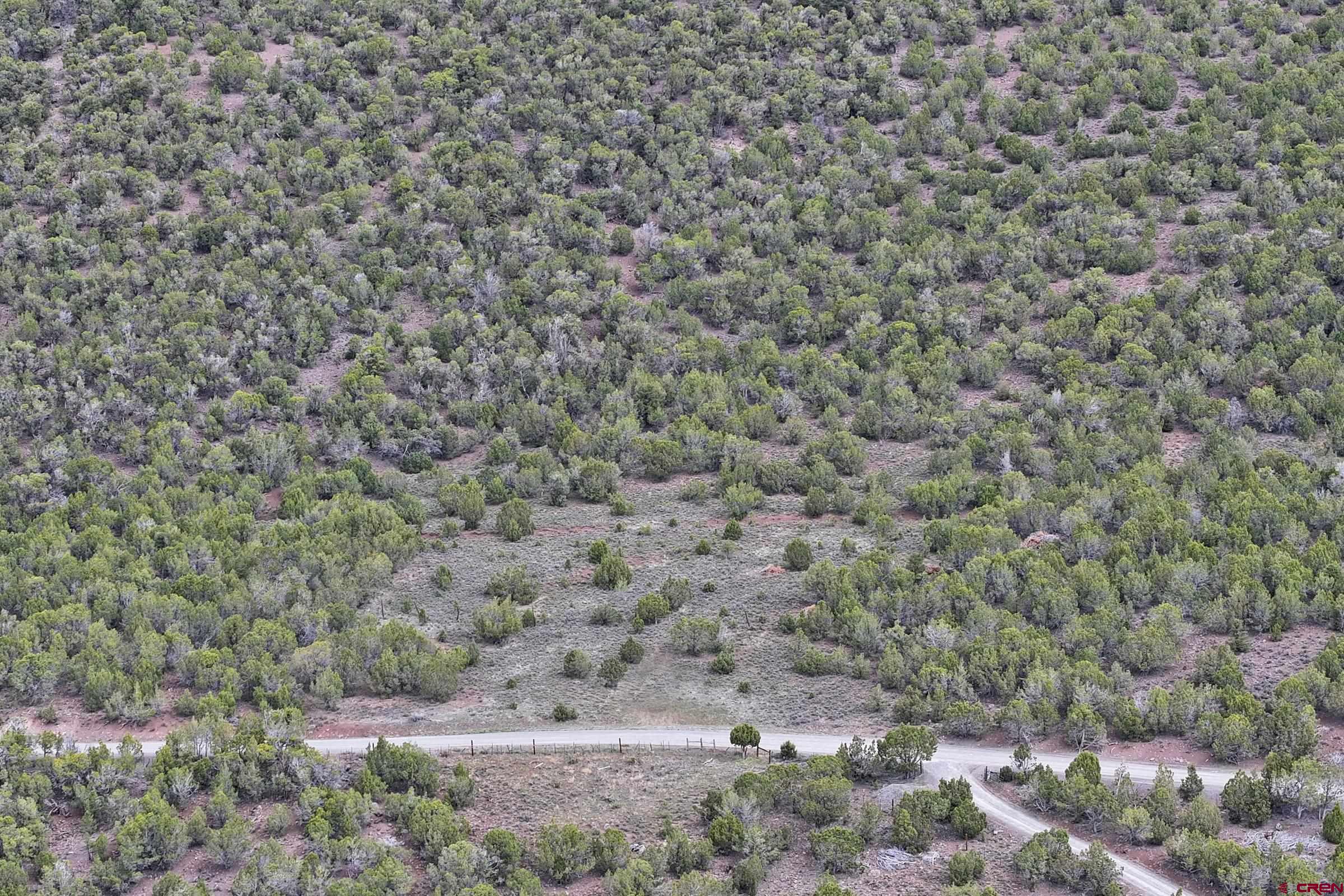 Tbd KK Road Collbran, CO 81624 - Photo 4 of 11 a view of a dry yard