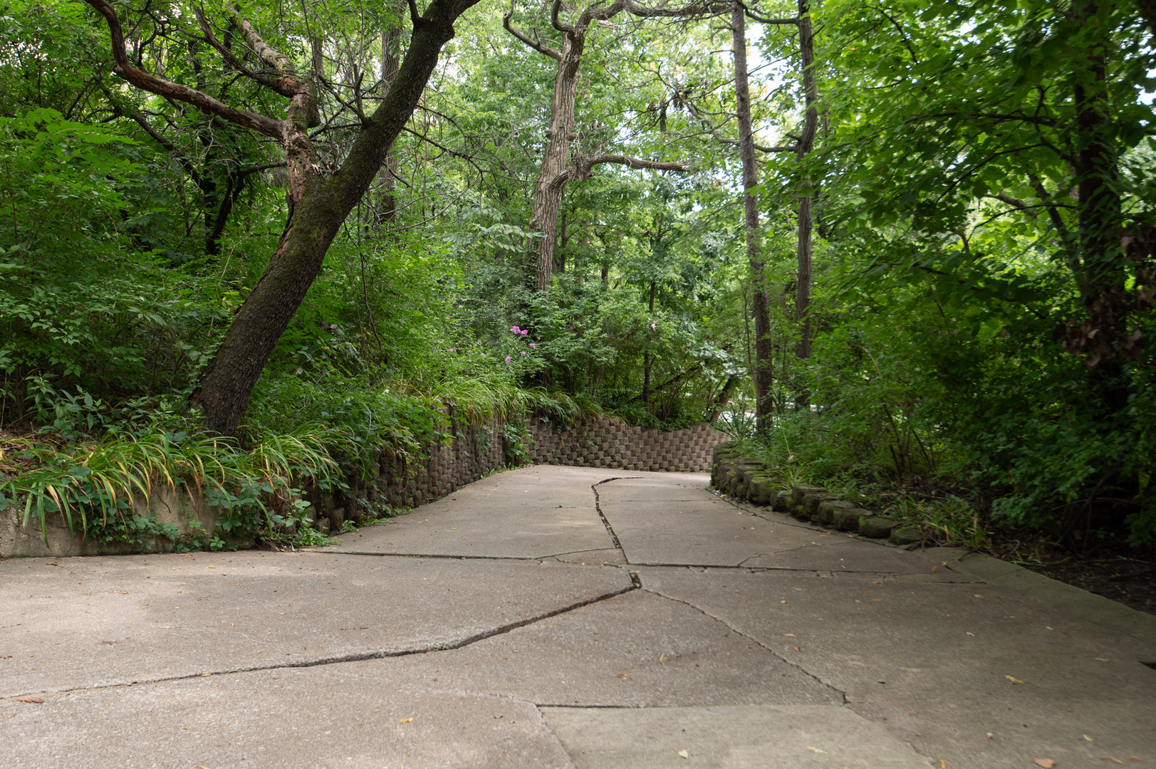 16244 Bluff Road Lemont, IL 60439 - Photo 49 of 50 Gallery Image 49