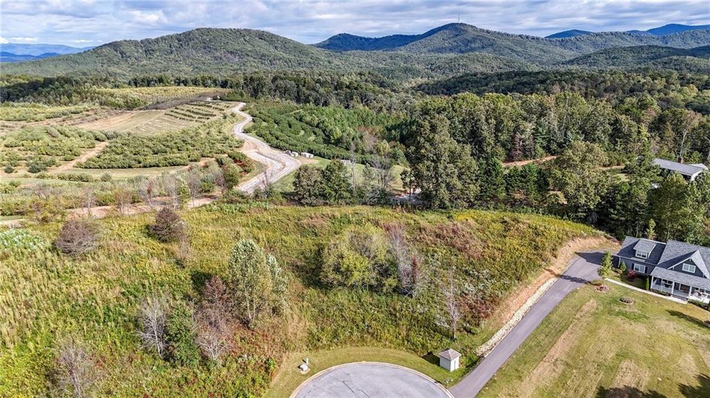 Lot 23 Ridgemont Lane Ellijay, GA 30536 - Photo 6 of 12 a view of a mountain with a yard