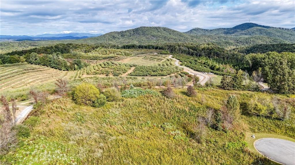 Lot 23 Ridgemont Lane Ellijay, GA 30536 - Photo 10 of 12 a view of a lake with mountains in the background
