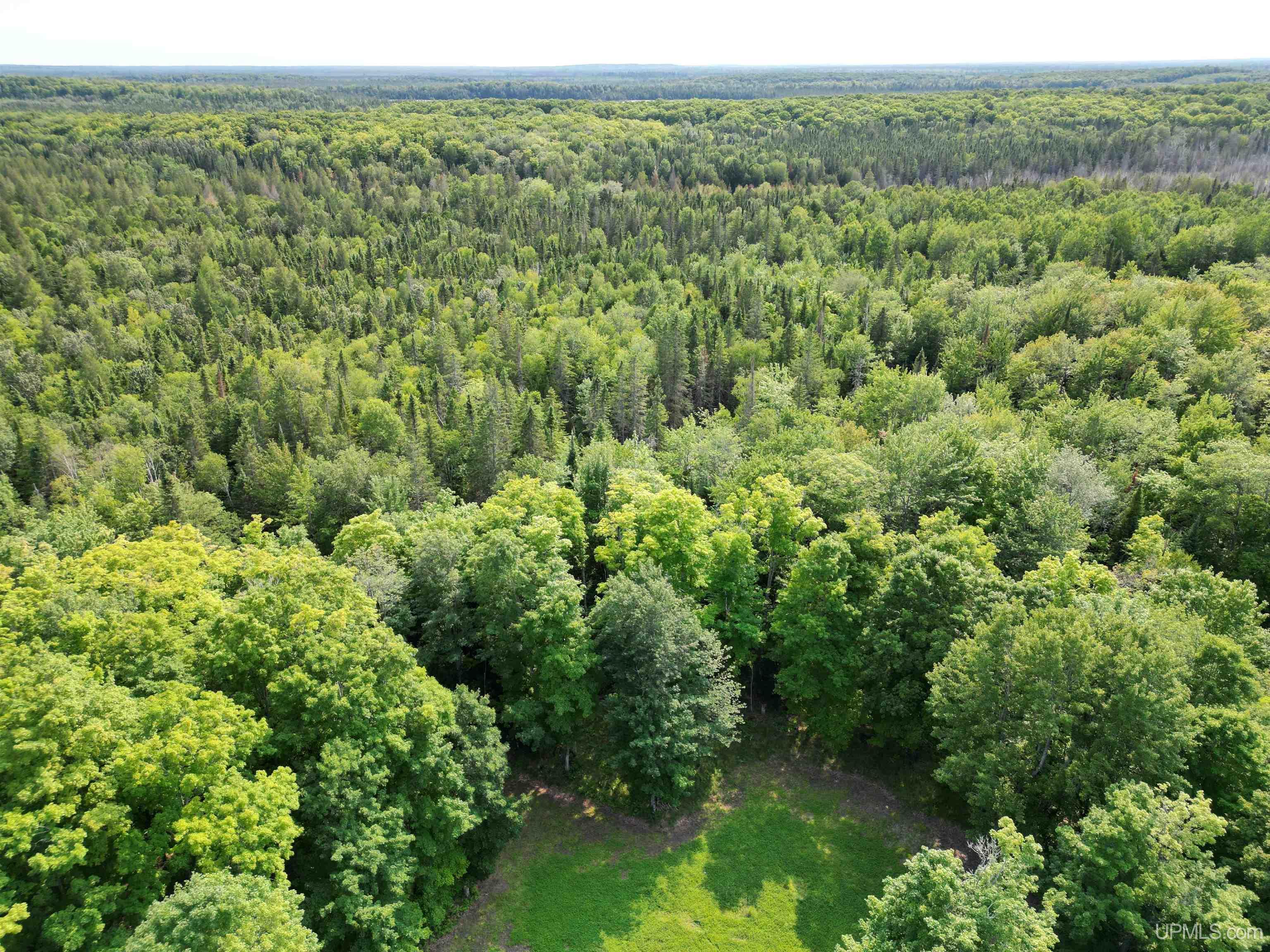 5368 Camp 23 Road Germfask, MI 49836 - Photo 40 of 61 Gallery Image 40