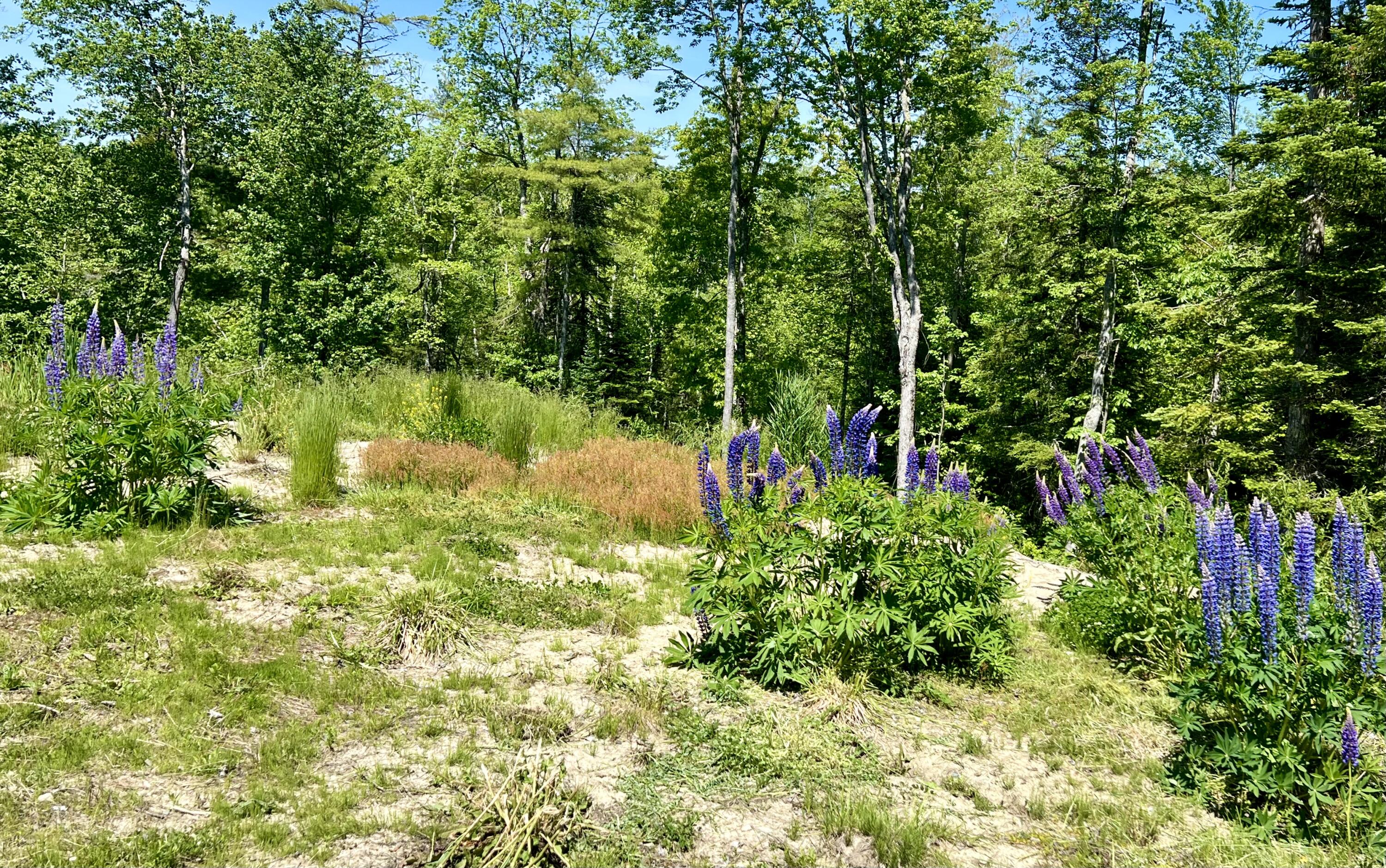 1351 South Clary Road Jefferson, ME 04348 - Photo 18 of 44 IMG_5408