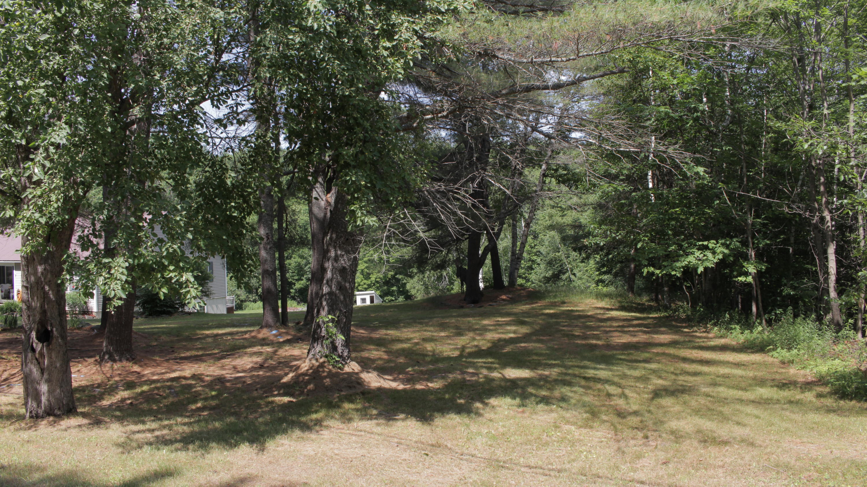 235 South Pond Road Winslow, ME 04901 - Photo 4 of 74 IMG_1540