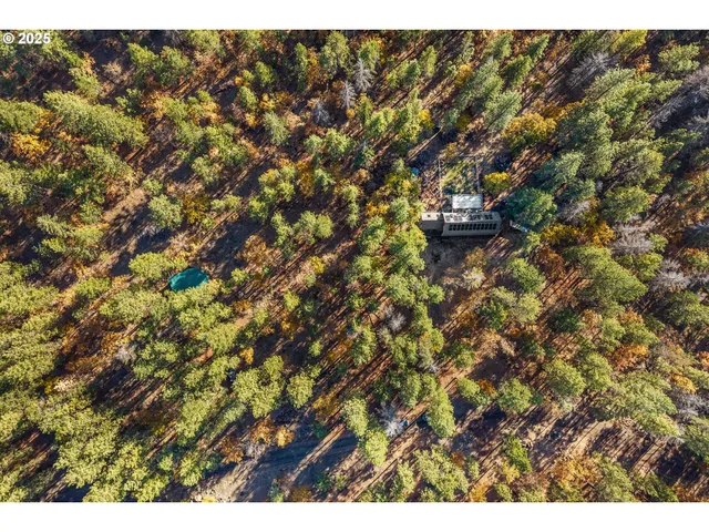 a view of a bunch of trees