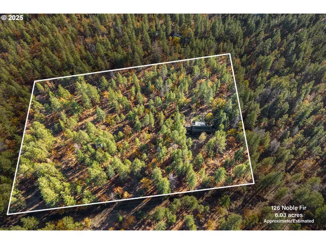 a view of outdoor space with trees