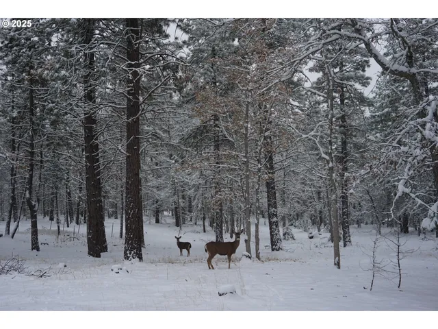 $375,000 | 126 Noble Fir, Goldendale, WA 98620