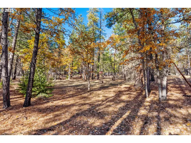 a view of outdoor space with trees
