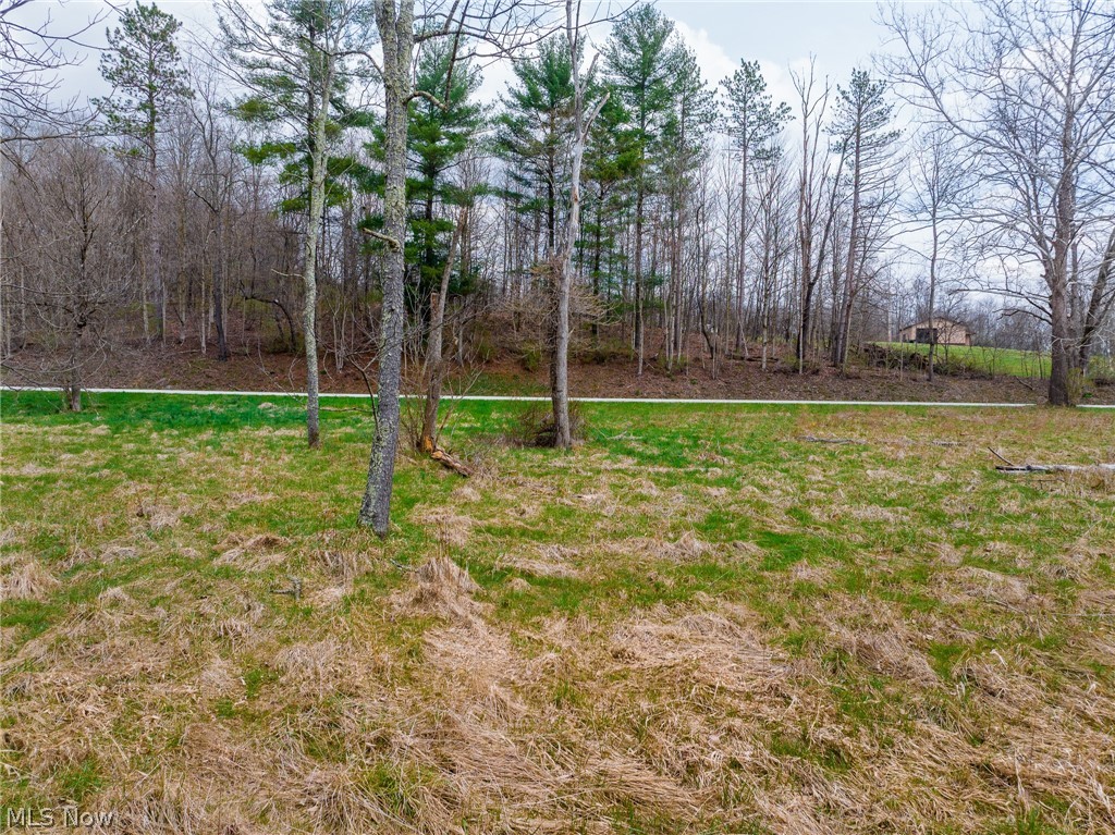Christian Hill Road Cambridge, OH 43725 - Photo 14 of 27