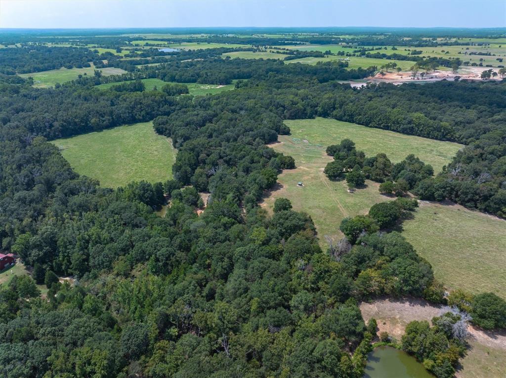 4403 VZ County Road Ben Wheeler, TX 75754 - Photo 1 of 1 Gallery Image 1