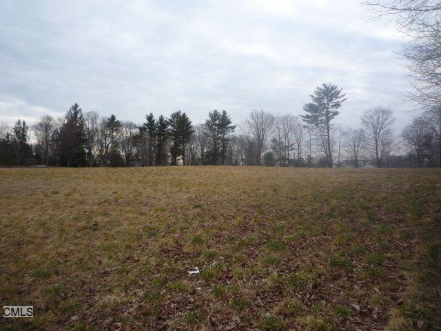 a view of backyard with trees