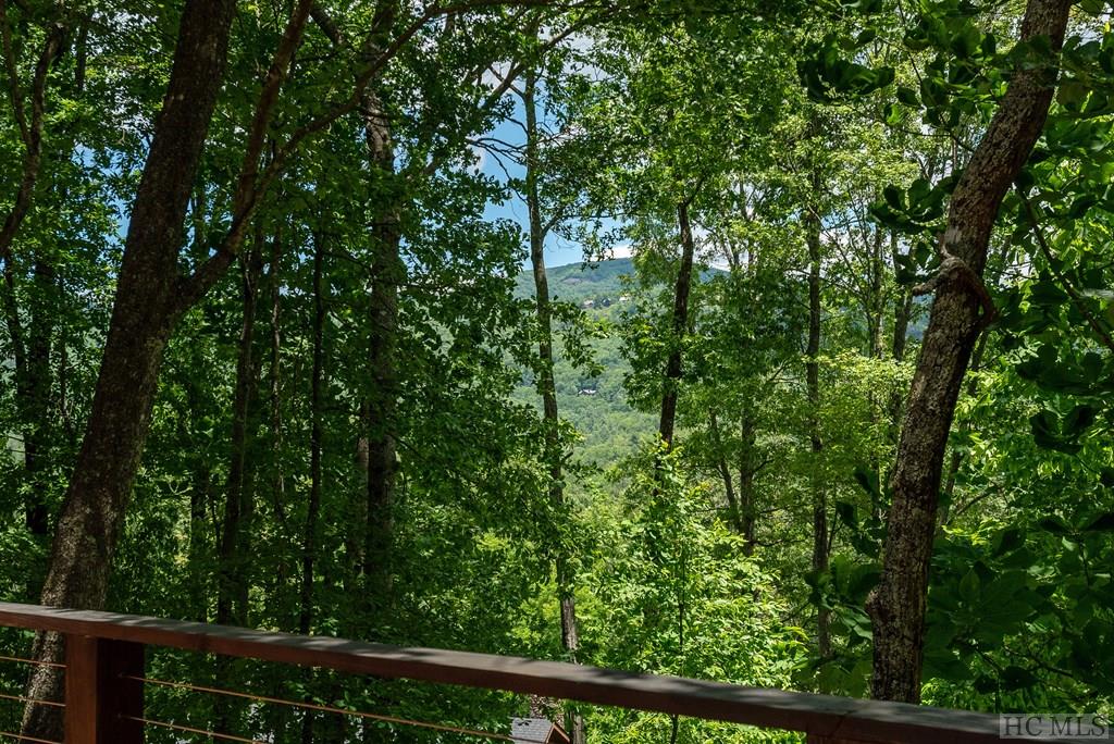 471 Deer Run Road Sapphire, NC 28774 - Photo 31 of 74 Gallery Image 31