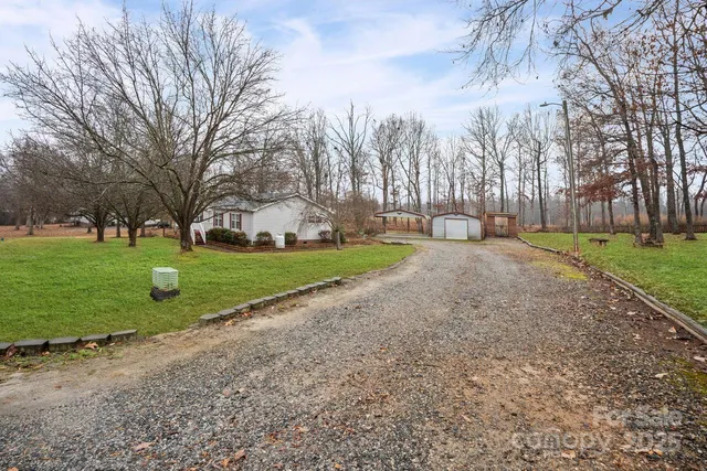 a view of a park with large trees