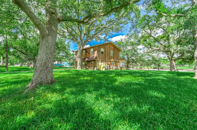 a view of a yard with a tree