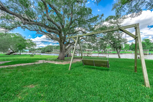 a view of a park with large trees
