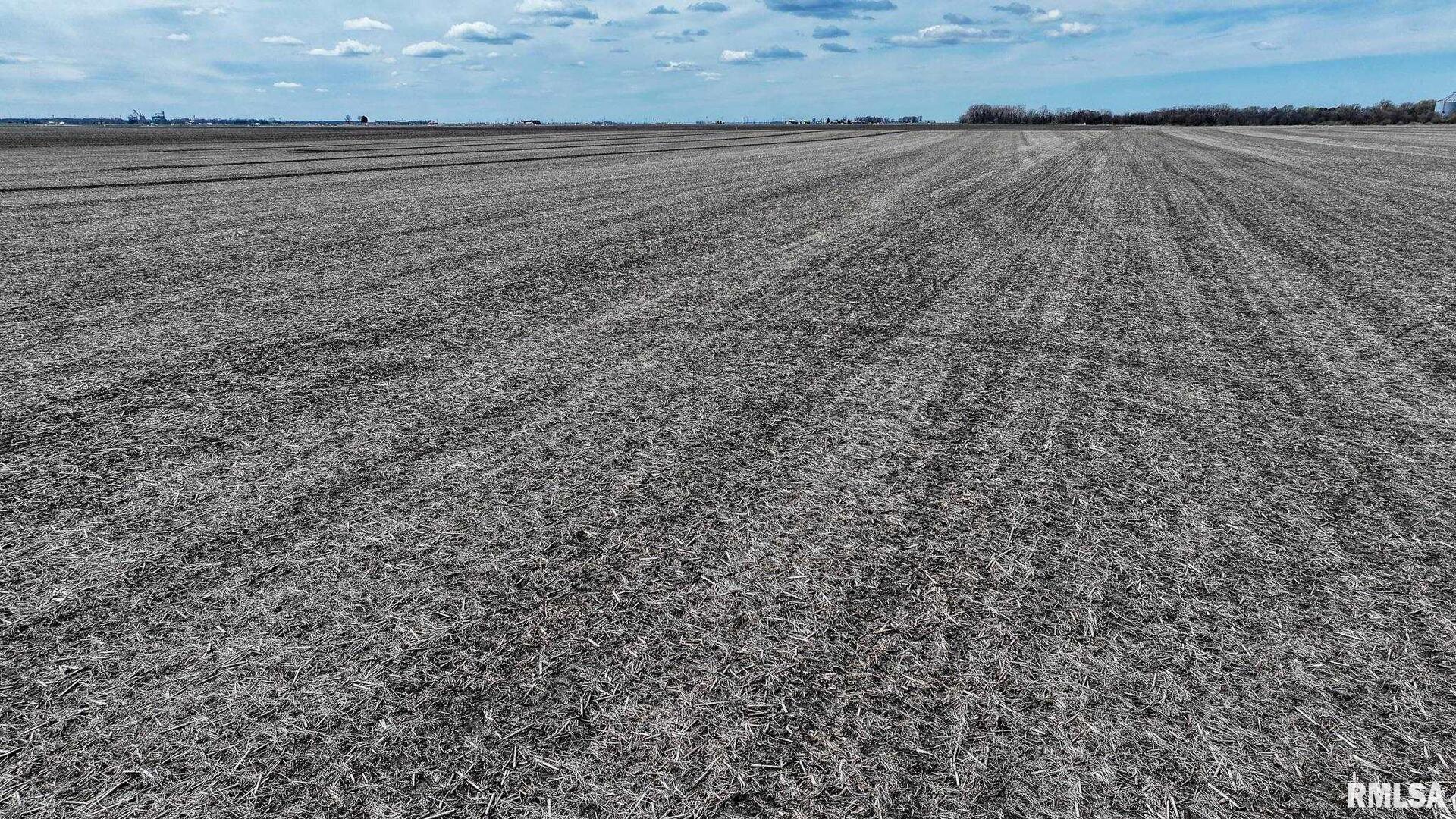 400 North E Road Long Point, IL 61333 - Photo 13 of 17 a view of a dry yard