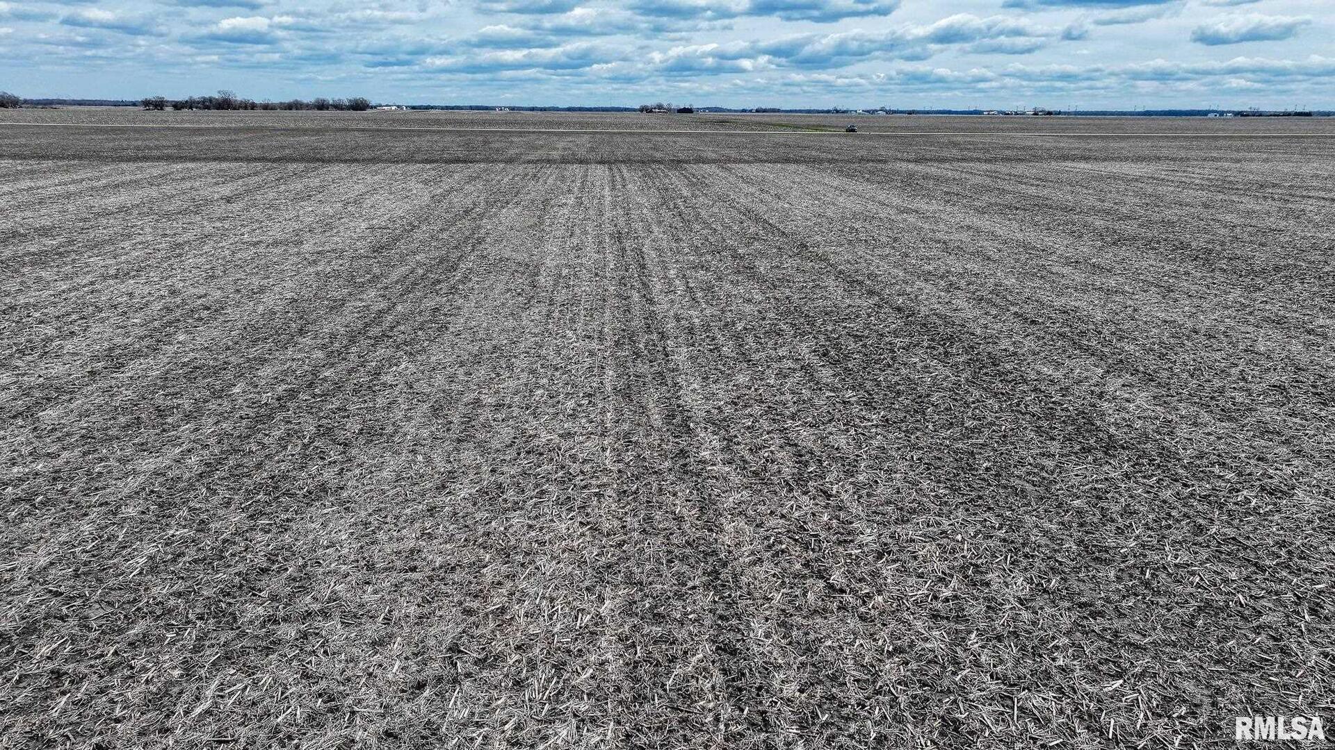 400 North E Road Long Point, IL 61333 - Photo 15 of 17 a view of a dry yard