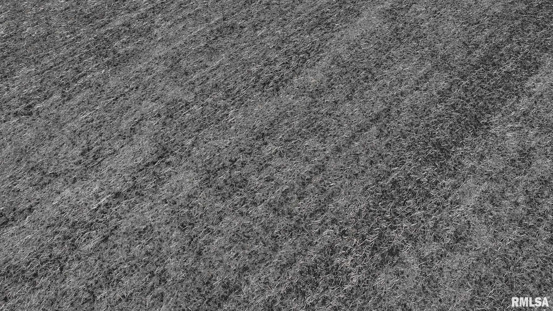 400 North E Road Long Point, IL 61333 - Photo 9 of 17 a view of a dry yard