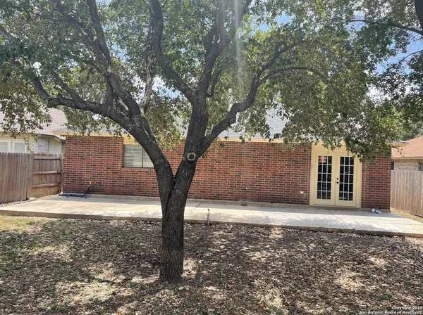 a big tree in middle of the garden