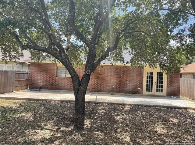 a big tree in middle of the garden