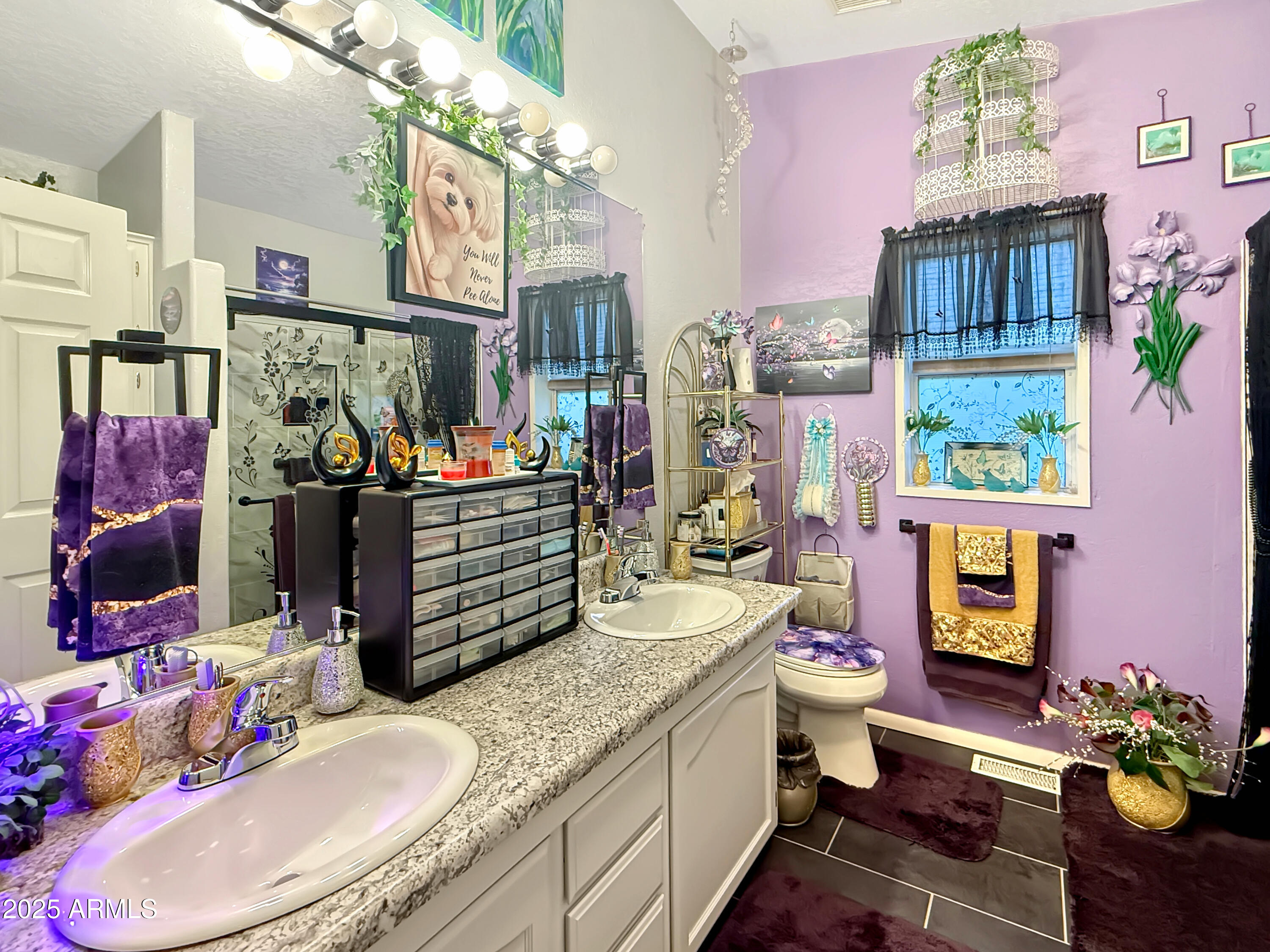 3700 South Tomahawk Road, Unit 102 Apache Junction, AZ 85119 - Photo 15 of 25 a bathroom with a sink mirror and toilet
