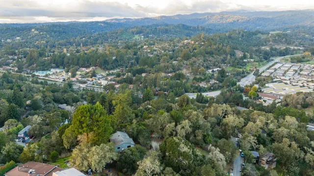 a view of a city with lush green forest