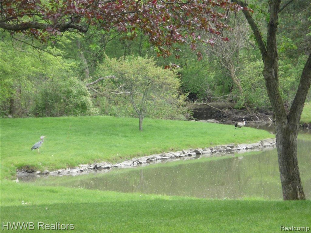 2897 West Wattles Road Troy, MI 48098 - Photo 20 of 22 Neighboring Pond