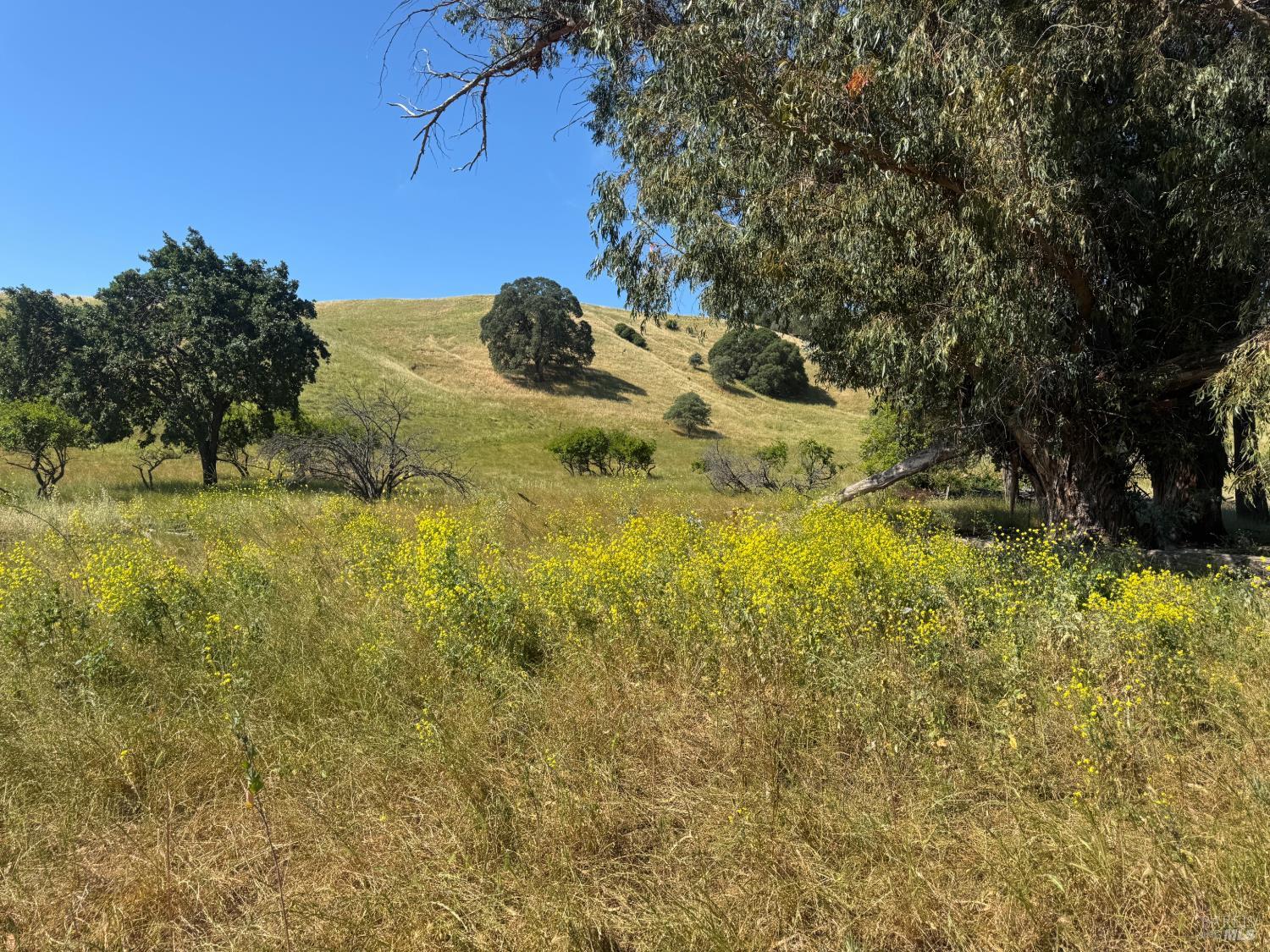 5275 Lyon Road Fairfield, CA 94534 - Photo 9 of 41