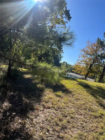a view of a yard with an outdoor space