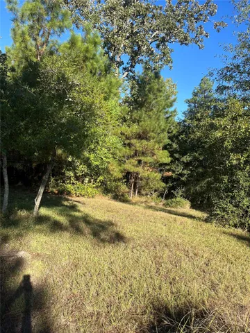 a view of swimming pool with a yard