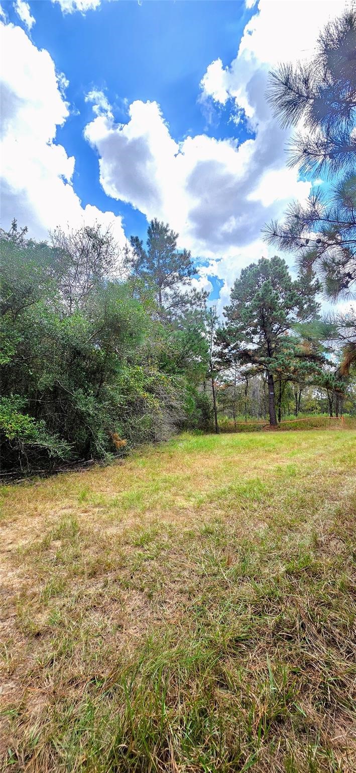 29699 Mcclellan Court West Hempstead, TX 77445 - Photo 3 of 16 a view of an ocean and a yard
