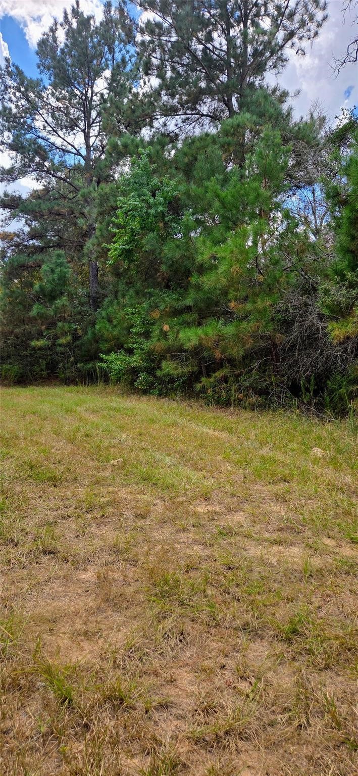 29699 Mcclellan Court West Hempstead, TX 77445 - Photo 4 of 16 a view of a ocean view