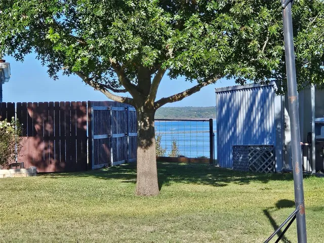 a view of a backyard with a tree
