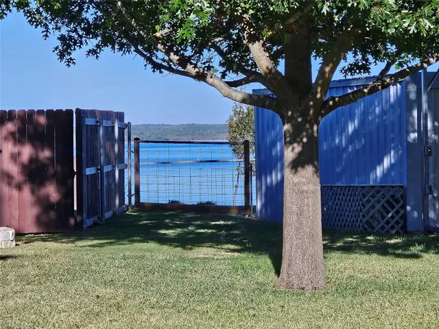 a tree in front of a wooden fence